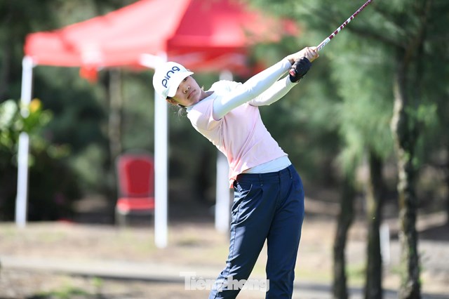 Nguyễn Viết Gia Hân