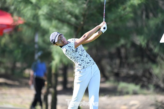 Nguyễn Vũ Hoàng Anh