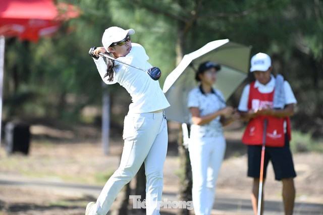 Thân Bảo Nghi