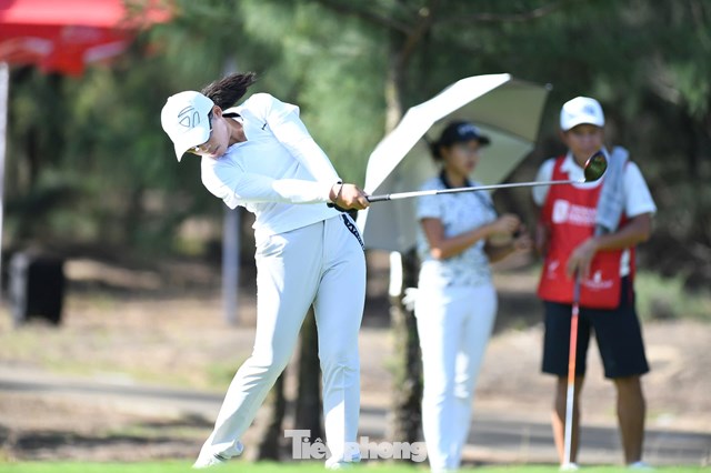Thân Bảo Nghi