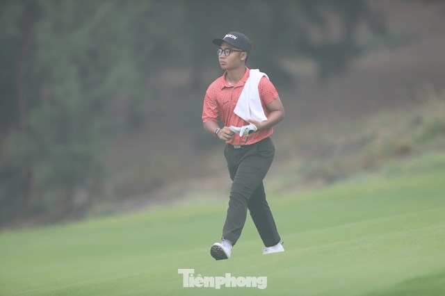 Trần Việt An