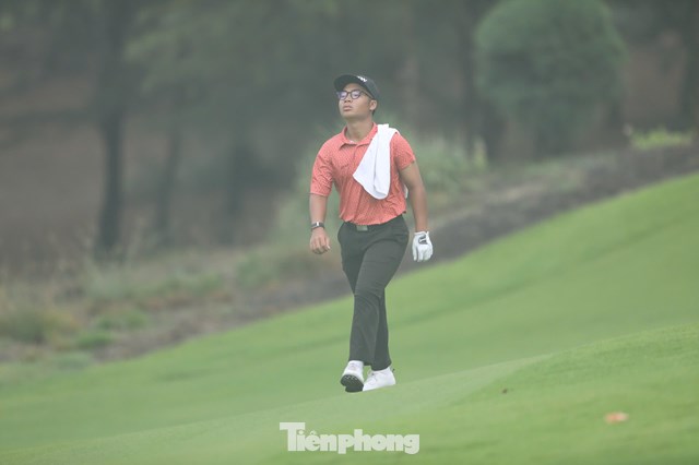 Trần Việt An