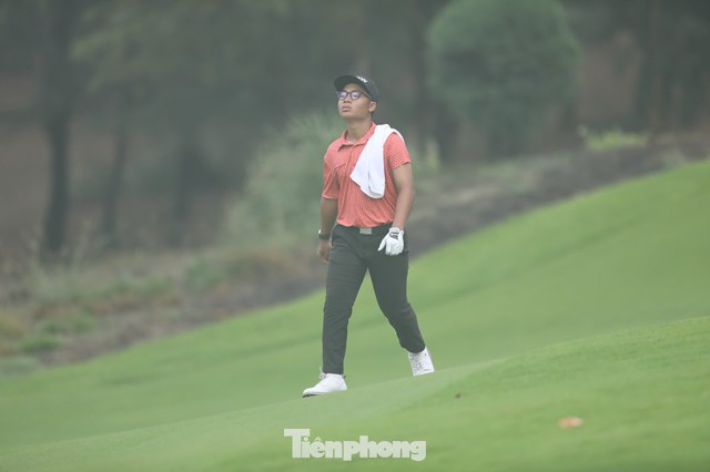 Trần Việt An