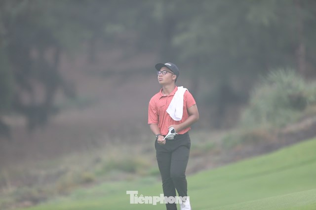 Trần Việt An