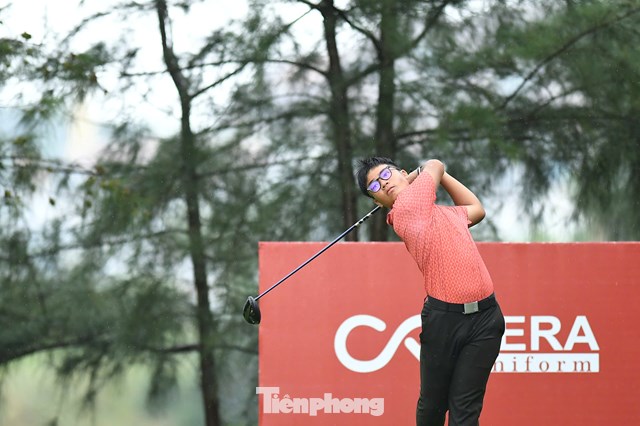 Trần Việt An