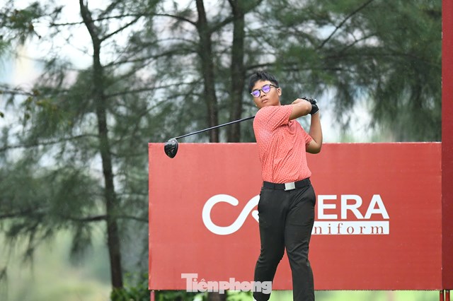 Trần Việt An