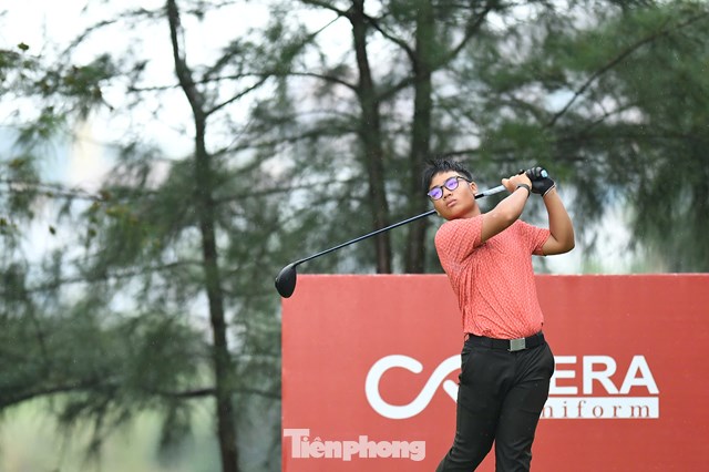 Trần Việt An