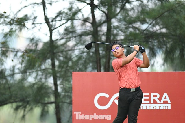 Trần Việt An