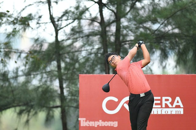 Trần Việt An