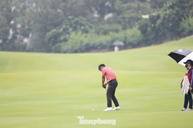 Trần Việt An