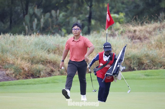 Trần Việt An