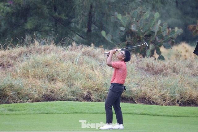 Trần Việt An