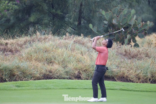 Trần Việt An