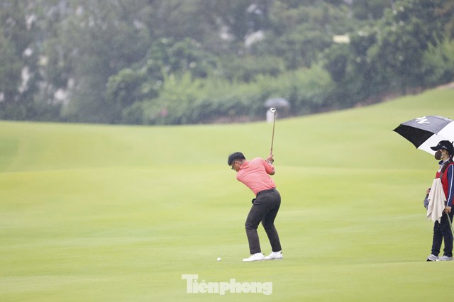 Trần Việt An