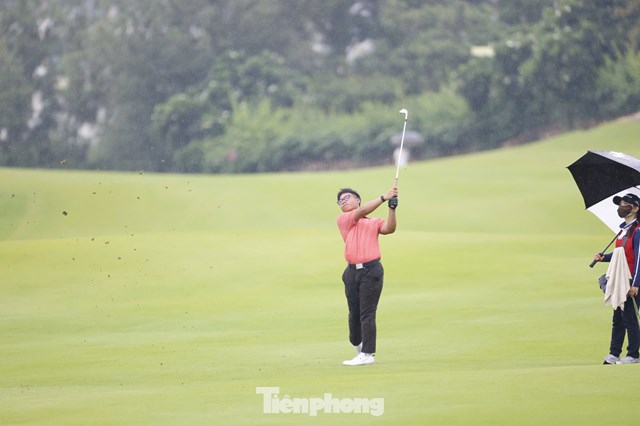 Trần Việt An