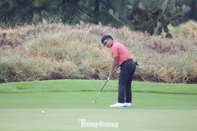 Trần Việt An