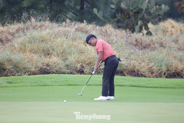 Trần Việt An