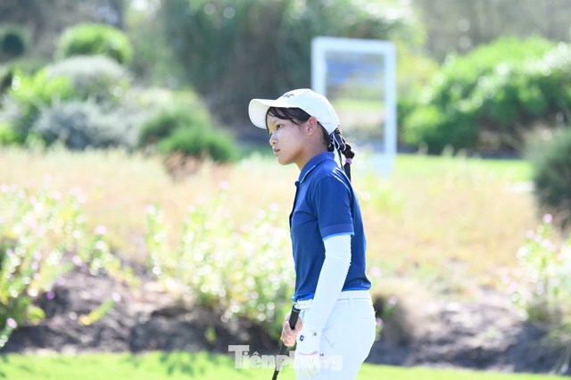 Đoàn Đan Thanh