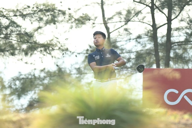 Nguyễn Đình Quang