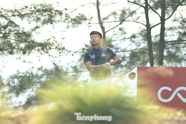 Nguyễn Đình Quang