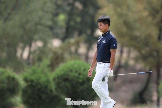 Nguyễn Đình Quang