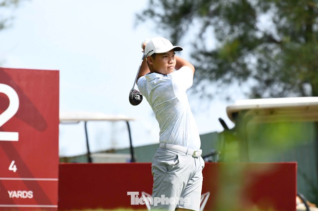 Nguyễn Thái Nhật