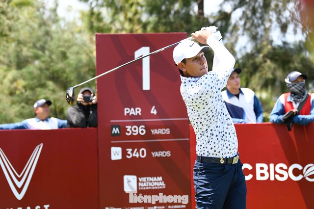 Nguyễn Thanh Hải 