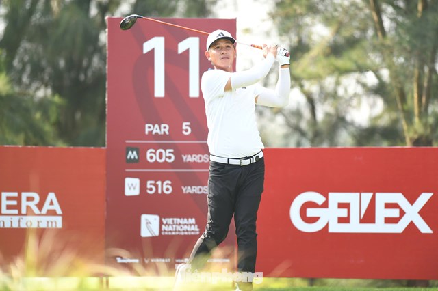 Nguyễn Thanh Hải 