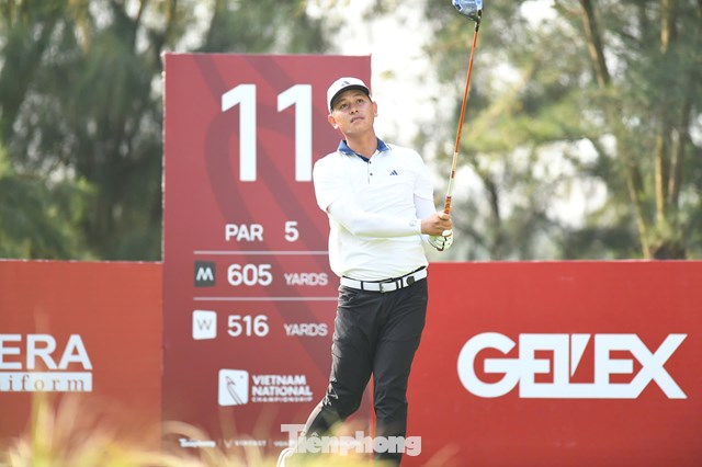 Nguyễn Thanh Hải 