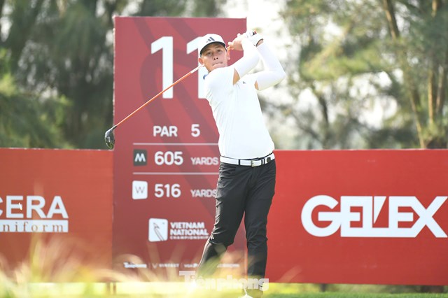 Nguyễn Thanh Hải 