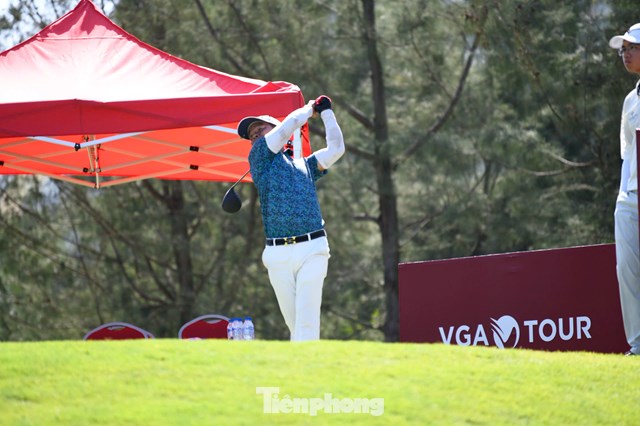 Nguyễn Việt Hồ
