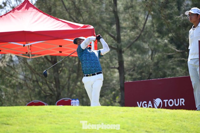 Nguyễn Việt Hồ