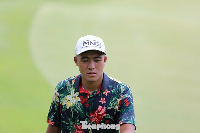 Nguyễn Viết Hồng Phúc