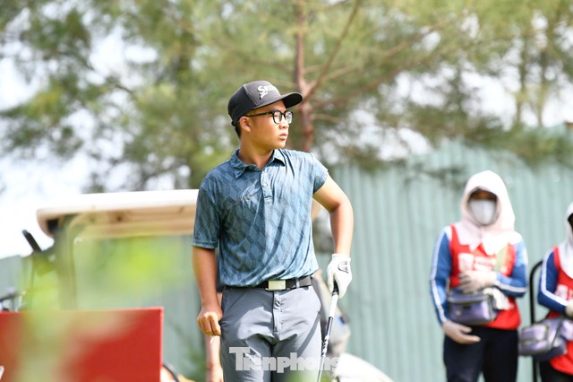 Trần Việt An
