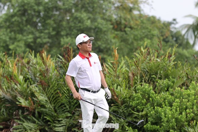 Trần Quang Tuấn