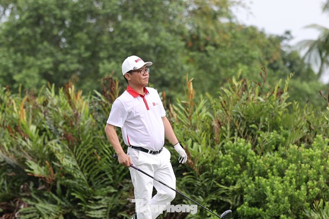 Trần Quang Tuấn